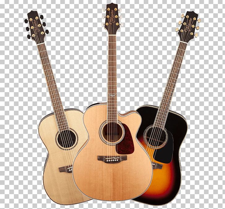 Takamine Guitars Dreadnought Acoustic-electric Guitar Cutaway Steel-string Acoustic Guitar PNG, Clipart, Acoustic Electric Guitar, Cuatro, Cutaway, Guitar Accessory, Guitarist Free PNG Download