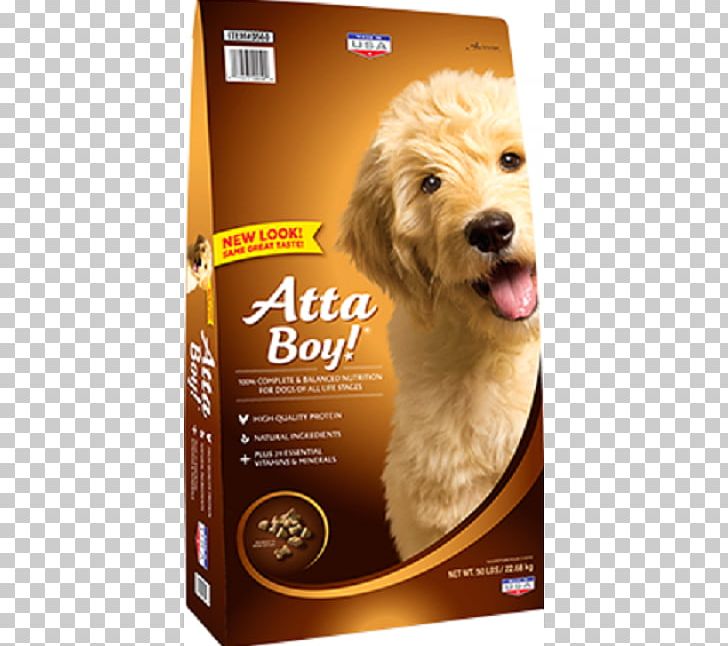 Goldendoodle Dog Food Puppy Nutro Products Pet PNG, Clipart, Animals, Atta, Companion Dog, Dog, Dog Breed Free PNG Download
