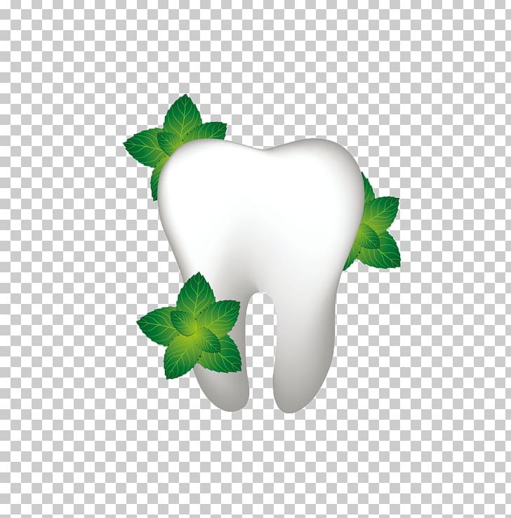 Human Tooth Dentistry Dental Floss Gums PNG, Clipart, Autumn Leaf, Computer Wallpaper, Dentist, Flower, Grass Free PNG Download