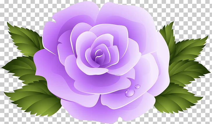 Rose Purple Violet PNG, Clipart, 3d Rose, Art, Blog, Desktop Wallpaper, Flower Free PNG Download