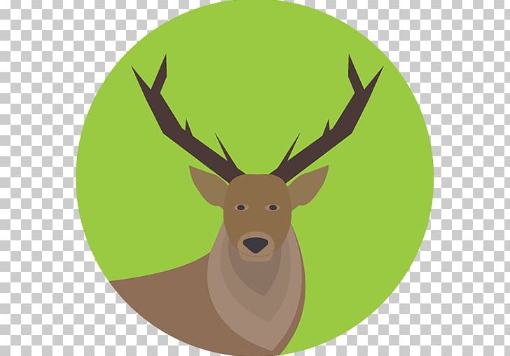 White-tailed Deer Elk Moose Computer Icons PNG, Clipart, Animals, Antler, Chital, Christmas, Computer Icons Free PNG Download