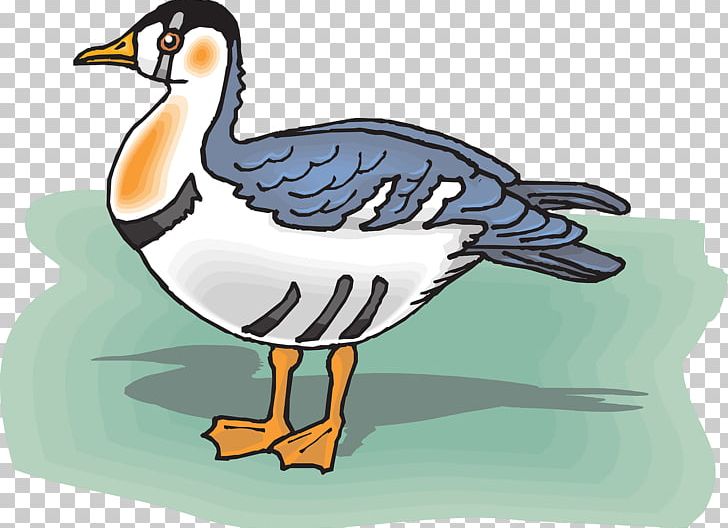 Duck Bird Goose PNG, Clipart, Animals, Art, Beak, Bird, Bird Of Prey Free PNG Download