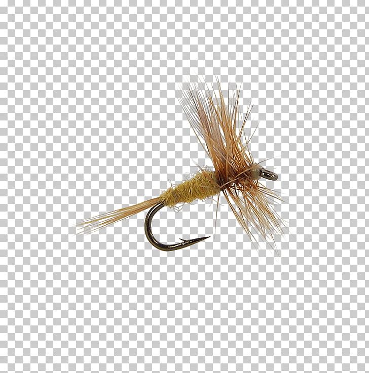 Insect Artificial Fly PNG, Clipart, Artificial Fly, Fishing Bait, Fly, Fly Tying, Insect Free PNG Download