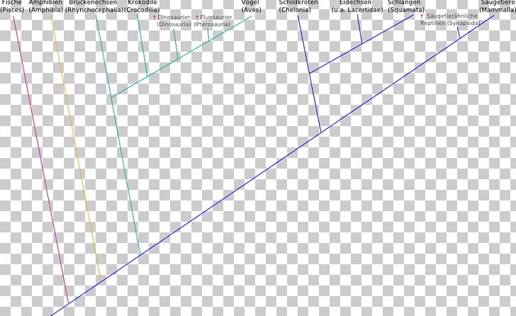 Line Document Angle Point PNG, Clipart, Angle, Area, Art, Circle, Diagram Free PNG Download