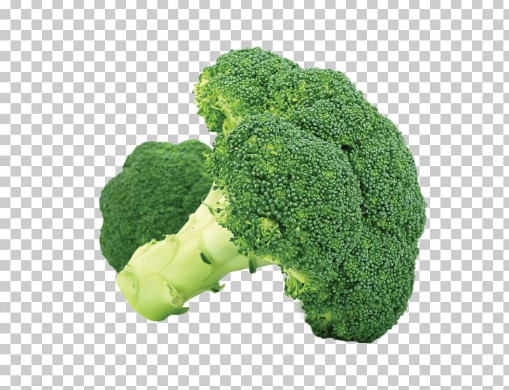 Organic Food Broccoli Capitata Group PNG, Clipart, Brassica Oleracea, Broccoli, Capitata Group, Cauliflower, Chinese Broccoli Free PNG Download