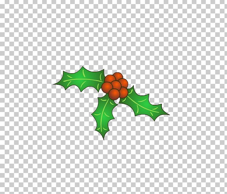 Christmas Santa Claus Myspace PNG, Clipart, Aquifoliaceae, Aquifoliales, Branch, Christmas, Christmas Decoration Free PNG Download