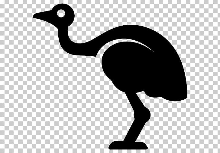 Common Ostrich Bird Emu Computer Icons PNG, Clipart, Animals, Artwork, Beak, Bird, Black And White Free PNG Download