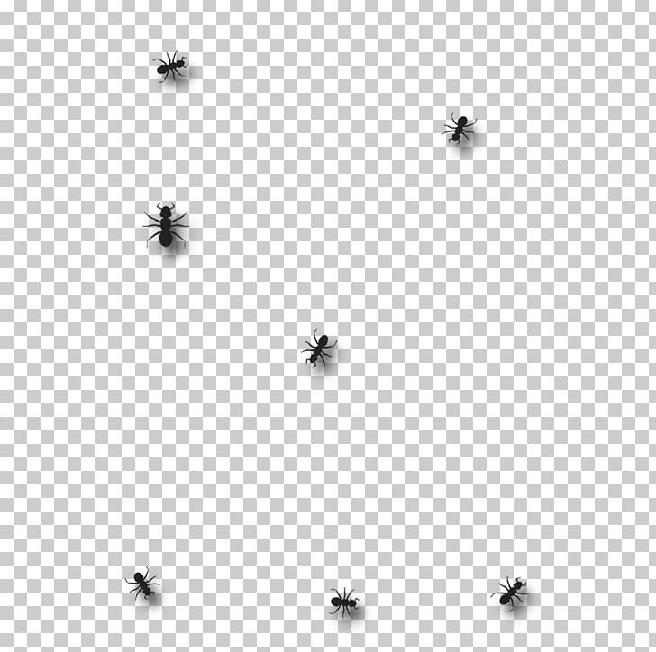 Insect Black And White Monochrome Photography Invertebrate PNG, Clipart, Animals, Ants, Black, Black And White, Body Jewellery Free PNG Download