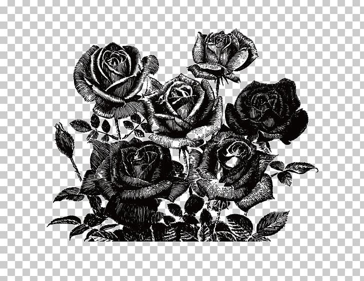 Painting Rose PNG, Clipart, Art, Background Black, Black, Black And White, Black Background Free PNG Download