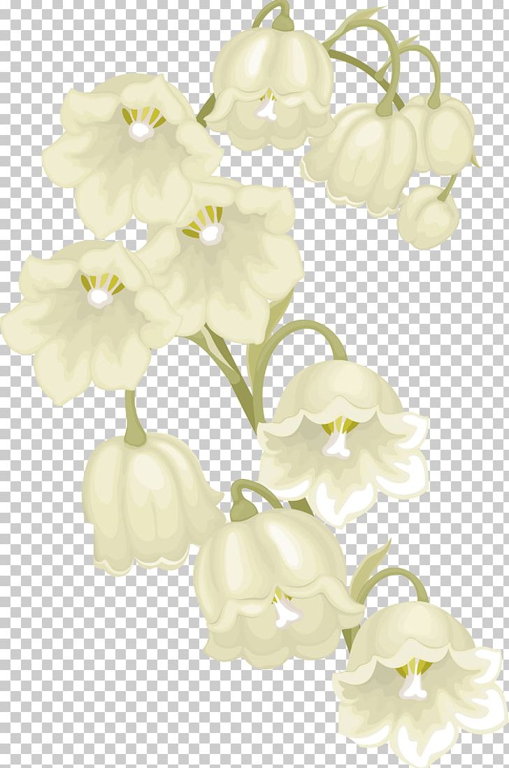 1 May Cut Flowers Plant Stem Lily Of The Valley PNG, Clipart, 1 May, Akhir Pekan, Blossom, Branch, Branching Free PNG Download