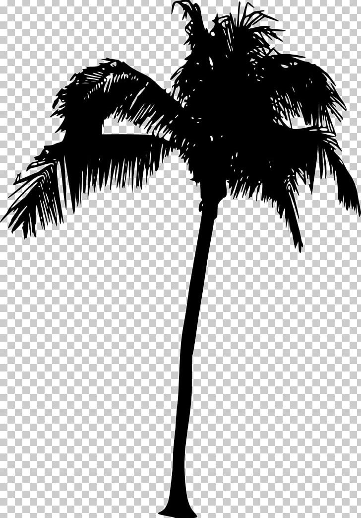 Arecaceae Tree Silhouette PNG, Clipart, Arecaceae, Arecales, Asian Palmyra Palm, Black And White, Borassus Flabellifer Free PNG Download
