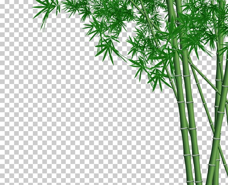 Bamboo Wall Four Gentlemen Bambusa Oldhamii PNG, Clipart, Background Green, Bamboo, Bambusa Oldhamii, Brush Pot, Building Free PNG Download