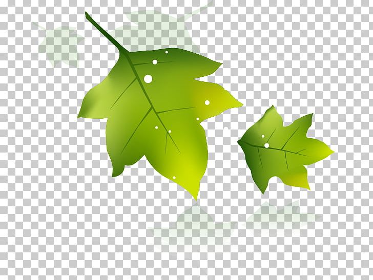 Banner Poster Leaf PNG, Clipart, Banner, Computer Wallpaper, Context, Display Resolution, Encapsulated Postscript Free PNG Download