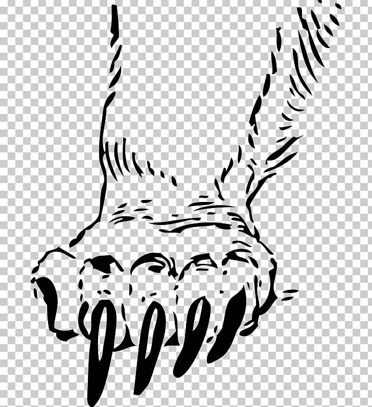 Bear Claw Tiger Paw PNG, Clipart, Animals, Animal Track, Art, Artwork, Beak Free PNG Download