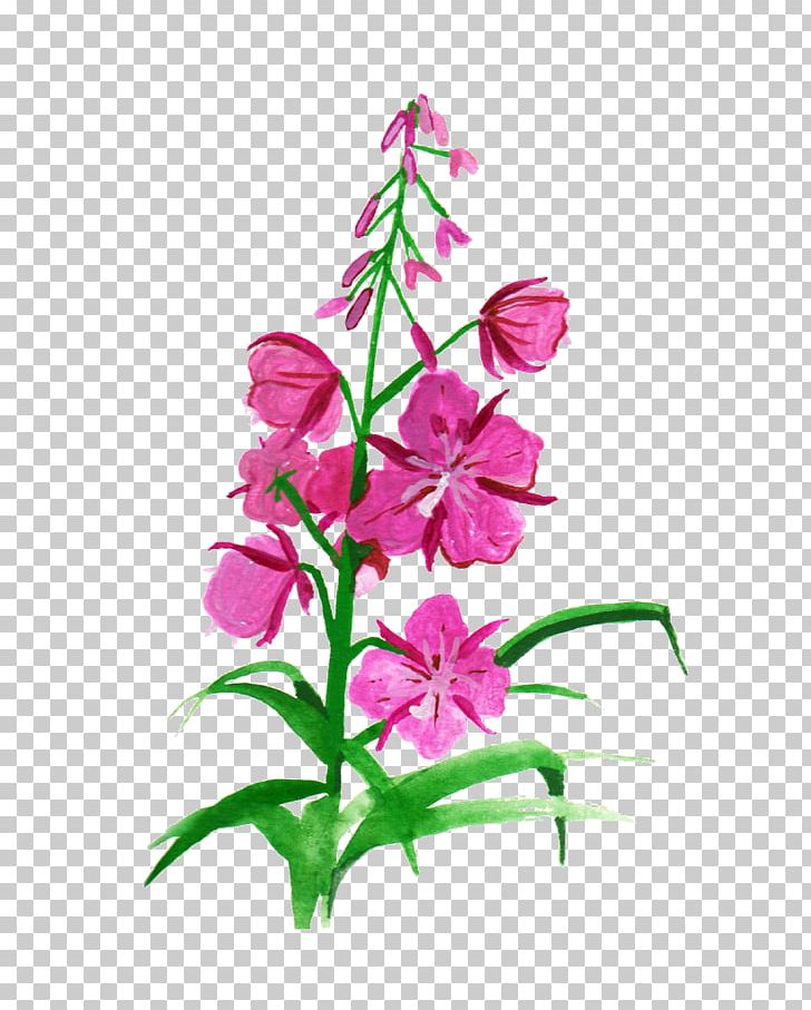 Botanical Illustration Flower Drawing PNG, Clipart, Bird, Botanical Illustration, Botany, Clip Art, Cut Flowers Free PNG Download