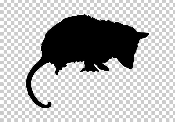 Chinchilla Opossum Mammal Encapsulated PostScript PNG, Clipart, Animal, Animals, Animal Silhouettes, Art, Black Free PNG Download