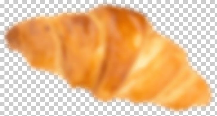 Croissant Bakery Biscuits Shopping Fruit PNG, Clipart, Bakery, Biscuits, Closeup, Cookie, Croissant Free PNG Download