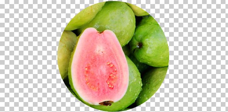 India Guava Miracle Fruit Auglis PNG, Clipart, Auglis, Berry, Black Pepper, Citrullus, Cucumber Gourd And Melon Family Free PNG Download