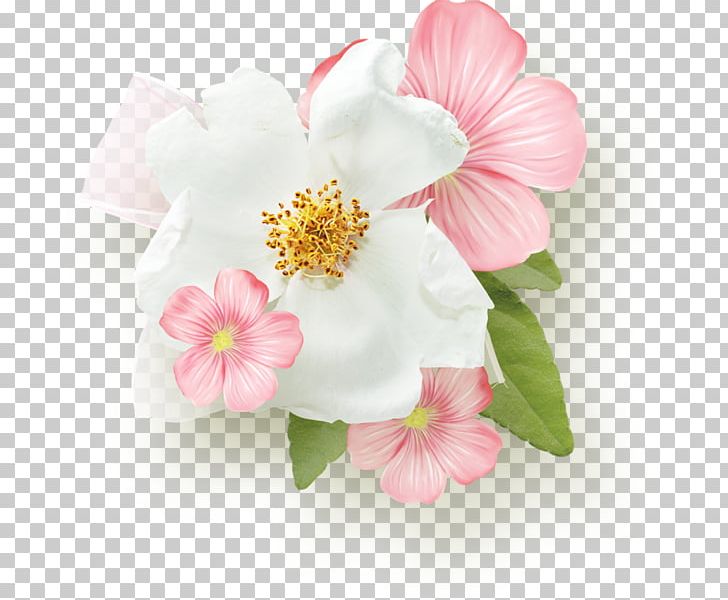 Pink Flower Day White PNG, Clipart, Blossom, Cherry Blossom, Day, Encapsulated Postscript, Flower Free PNG Download