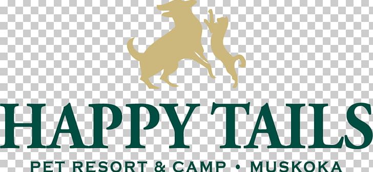 Happy Tails Pet Resort & Camp Amarillo Pedicure Money Capital PNG, Clipart, Amarillo, Brand, Capital, Carnivoran, Dog Like Mammal Free PNG Download