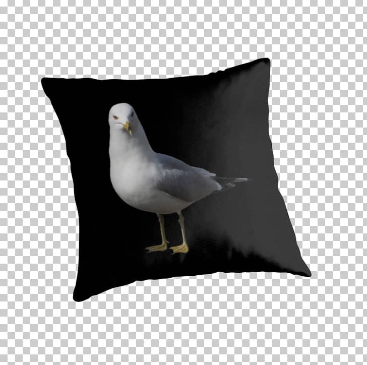 Throw Pillows Cushion Beak PNG, Clipart, 9 Months, Ago, Beak, Bird, Cushion Free PNG Download