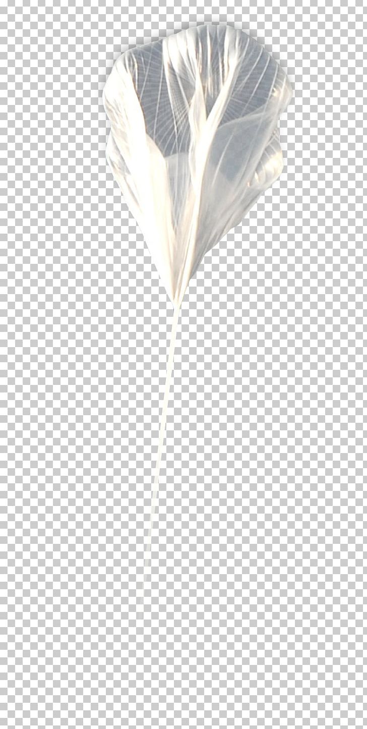Feather PNG, Clipart, Animals, Feather, Think Balloon, Wing Free PNG Download