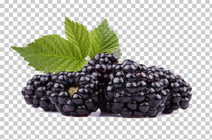Frutti Di Bosco Black Raspberry Blackberry Red Raspberry PNG, Clipart, Antioxidant, Berry, Bilberry, Blackberry, Black Raspberry Free PNG Download