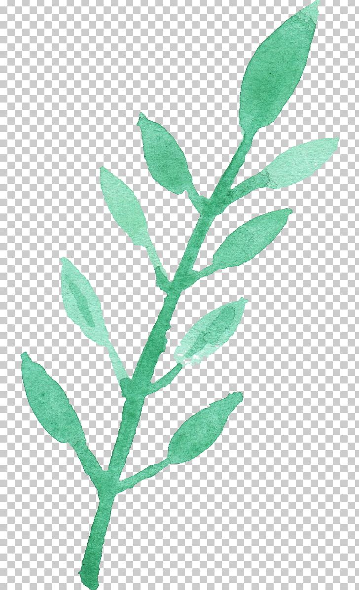 Leaf Watercolor Painting PNG, Clipart, Branch, Color, Digital Media, Green, Leaf Free PNG Download
