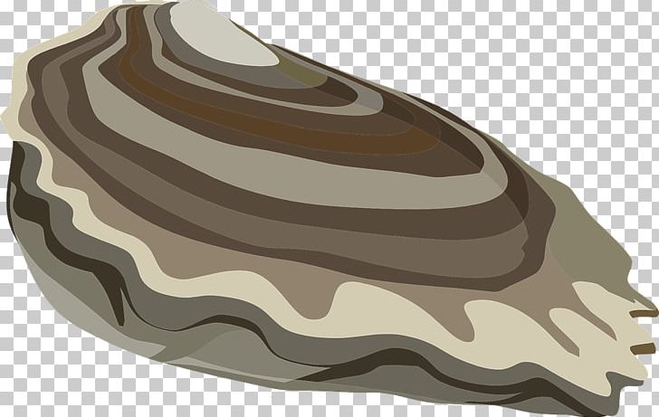 Oyster PNG, Clipart, Clam, Computer, Computer Icons, Download, Food Free PNG Download