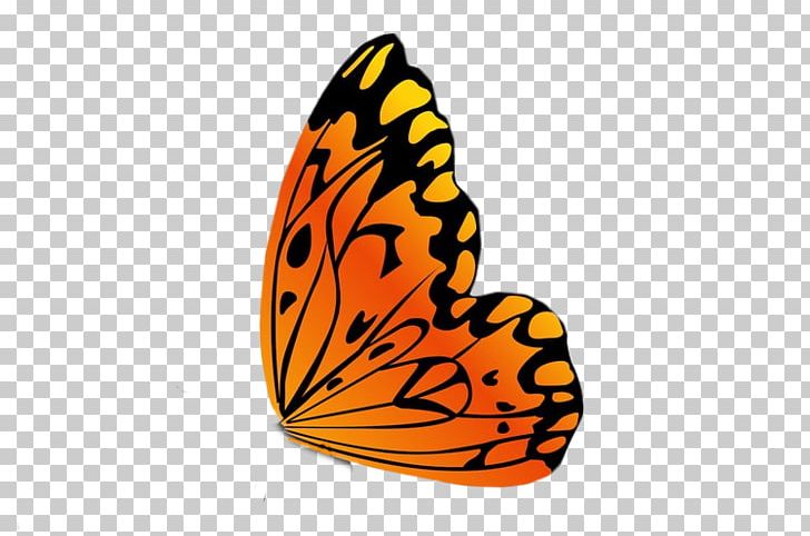 Monarch Butterfly Insect PNG, Clipart, Animal, Arthropod, Brush Footed Butterfly, Butterfly, Butterfly Vector Free PNG Download