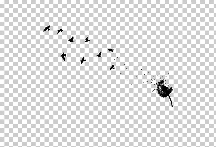 Abziehtattoo Dandelion Bird Flash PNG, Clipart, Arm, Bird, Black, Black And White, Body Piercing Free PNG Download