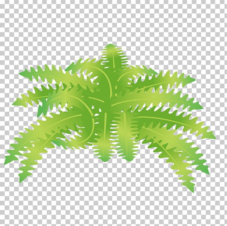 Green Lush Zigzag Leaves PNG, Clipart, Background Green, Decorative Patterns, Dense, Download, Fall Leaves Free PNG Download