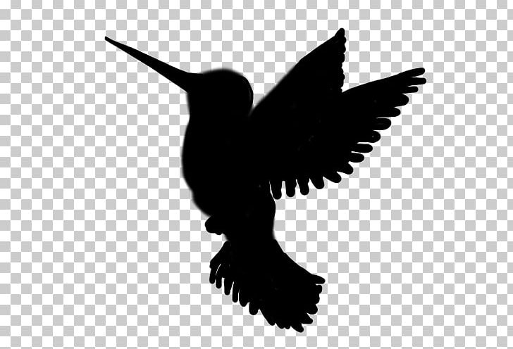 Hummingbird Silhouette PNG, Clipart, Animals, Beak, Bird, Bird Flight, Bird Silhouette Free PNG Download