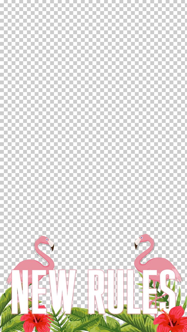 Petal Pink M Leaf Font PNG, Clipart, Dua Lipa, Flower, Grass, Leaf, Petal Free PNG Download