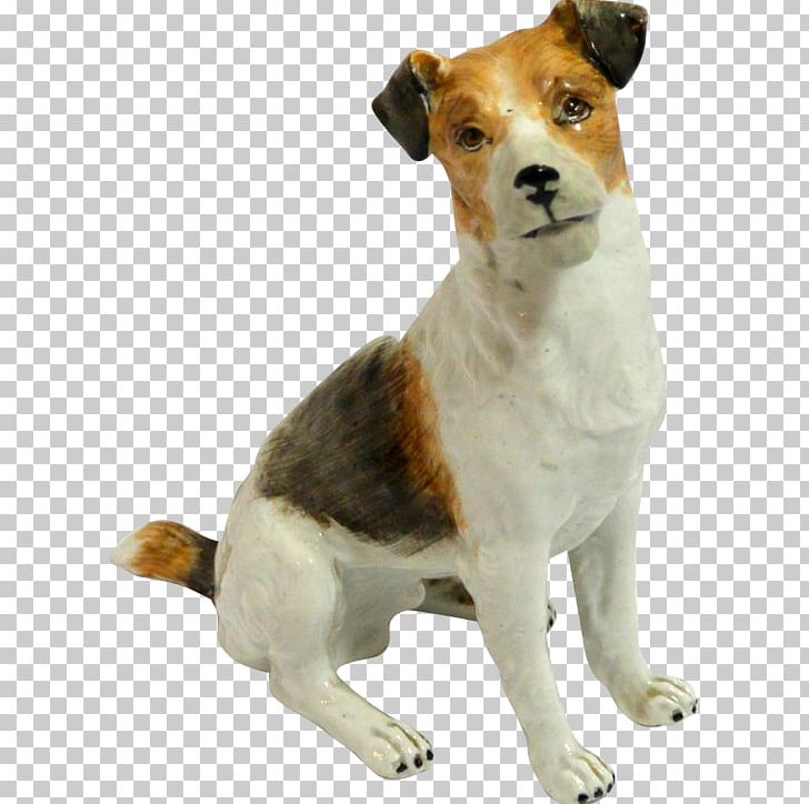Dog Breed Jack Russell Terrier English Foxhound PNG, Clipart, Breed, Breed Group Dog, Carnivoran, Companion Dog, Dog Free PNG Download
