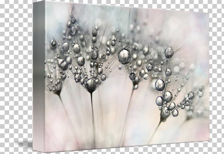 Gallery Wrap Canvas Stock Photography Art PNG, Clipart, Art, Canvas, Carpet, Dandy, Gallery Wrap Free PNG Download