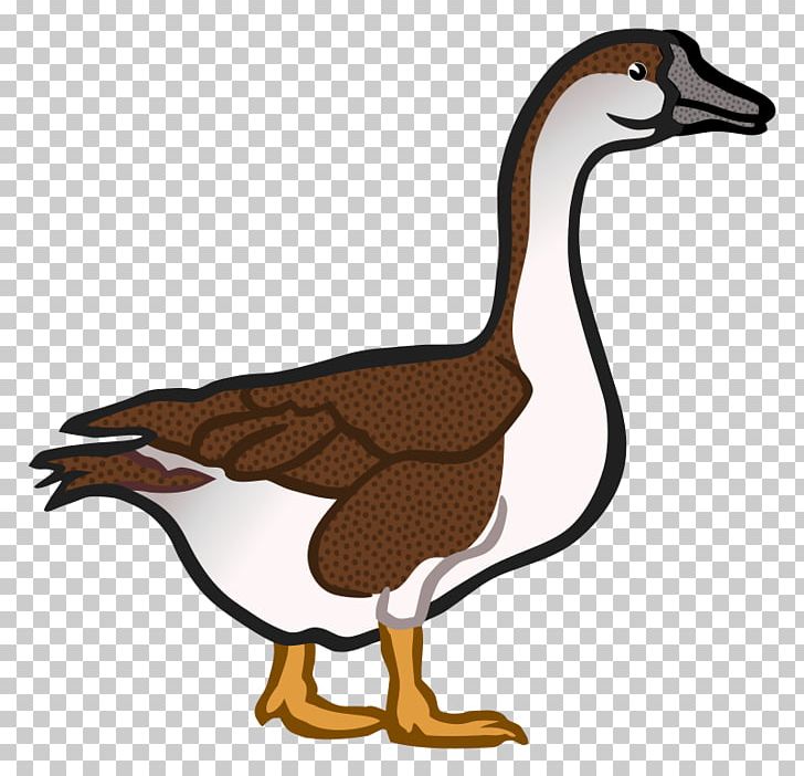 Goose Duck PNG, Clipart, Animal Figure, Animals, Anseriformes, Beak, Bird Free PNG Download