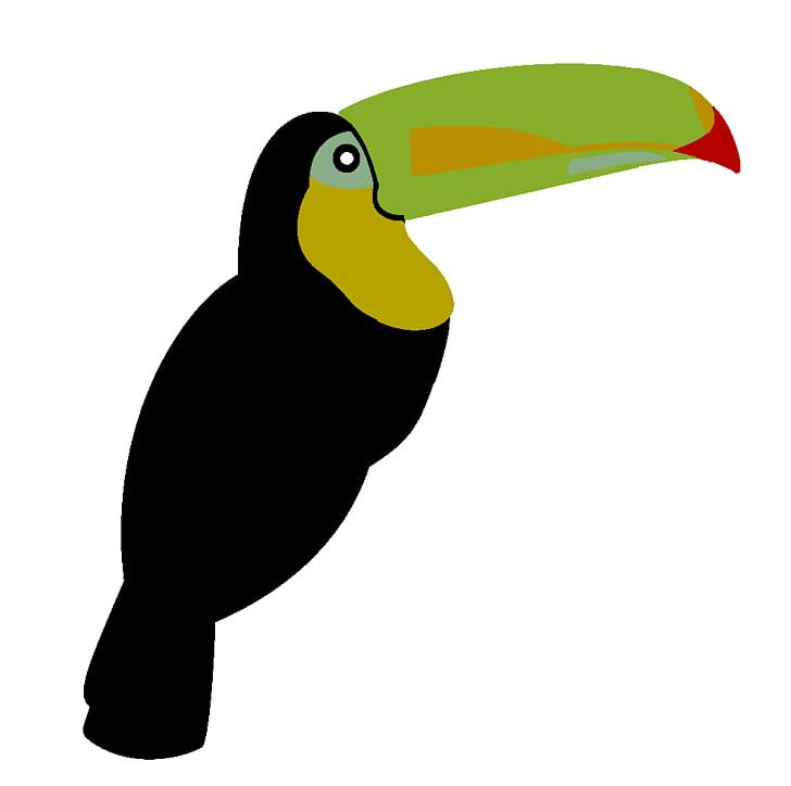 Keel-billed Toucan Common Ostrich Bird Toco Toucan Penguin PNG, Clipart, Beak, Bird, Common Ostrich, Drawing, Fauna Free PNG Download