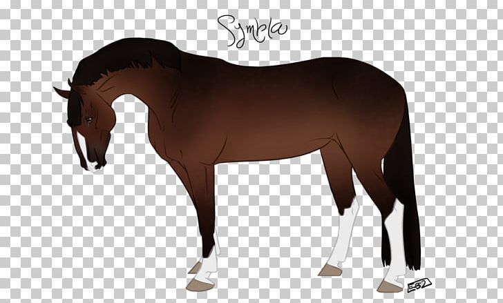 Mustang Foal Stallion Rein Halter PNG, Clipart,  Free PNG Download