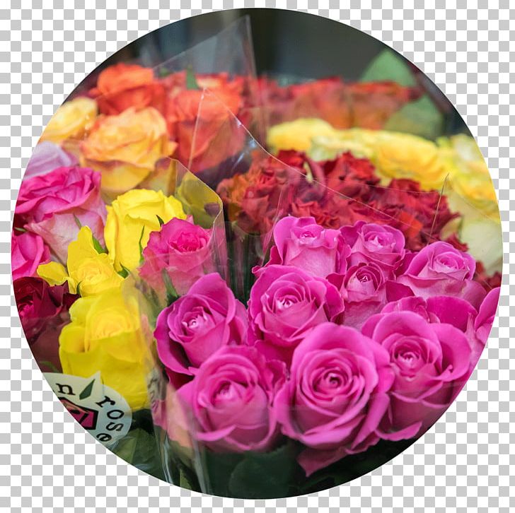 Garden Roses Blumen Baccara Cut Flowers PNG, Clipart, Blume, Blumen, Cut Flowers, Floral Design, Floristry Free PNG Download