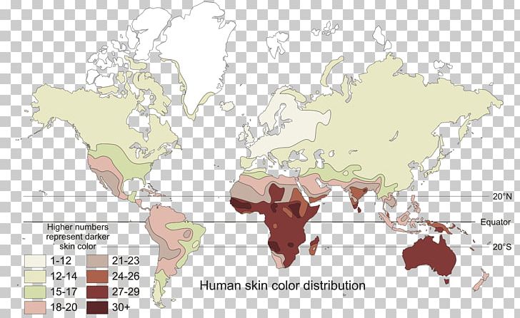 Human Skin Color Genetics Polygene PNG, Clipart, Area, Border, Color, Colour, Ecoregion Free PNG Download