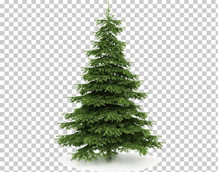 Artificial Christmas Tree Christmas Decoration PNG, Clipart, Balsam Fir, Balsam Hill, Biome, Cedar, Christmas Free PNG Download