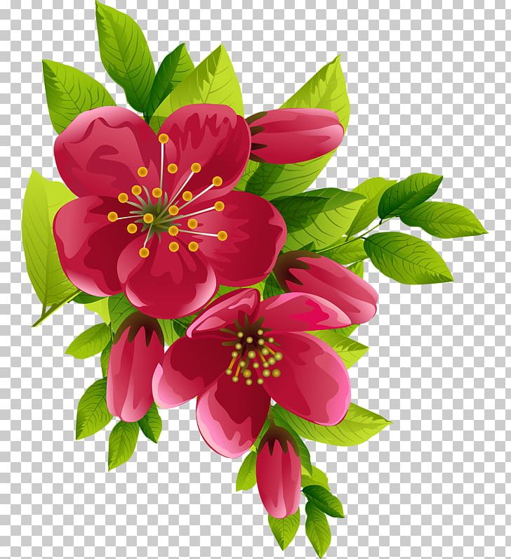 Flower PNG, Clipart, Annual Plant, Blossom, Cut, Digital Image, Encapsulated Postscript Free PNG Download