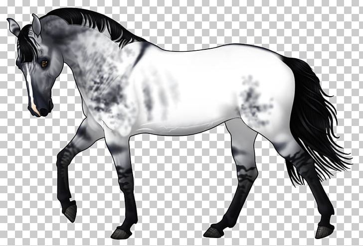 Mane Pony Stallion Mustang Mare PNG, Clipart, Black And White, Board Game, Breed, Bridle, Colt Free PNG Download