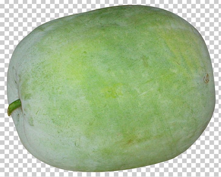 Watermelon Wax Gourd PNG, Clipart, Ash Gourd, Copying, Cucumber, Cucumber Gourd And Melon Family, Download Free PNG Download