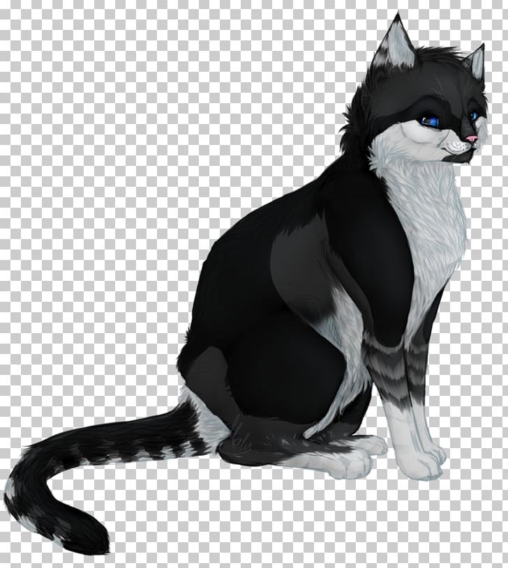 Whiskers American Wirehair Kitten Domestic Short-haired Cat Black Cat PNG, Clipart, Ame, Animals, Black, Black And White, Black Cat Free PNG Download