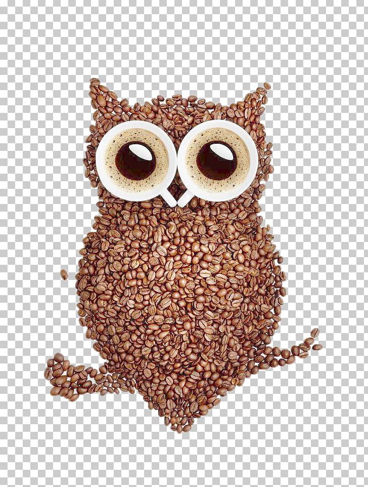 Coffee Bean Tea T-shirt Owl PNG, Clipart, Art, Artikel, Beans, Bird, Bird Of Prey Free PNG Download