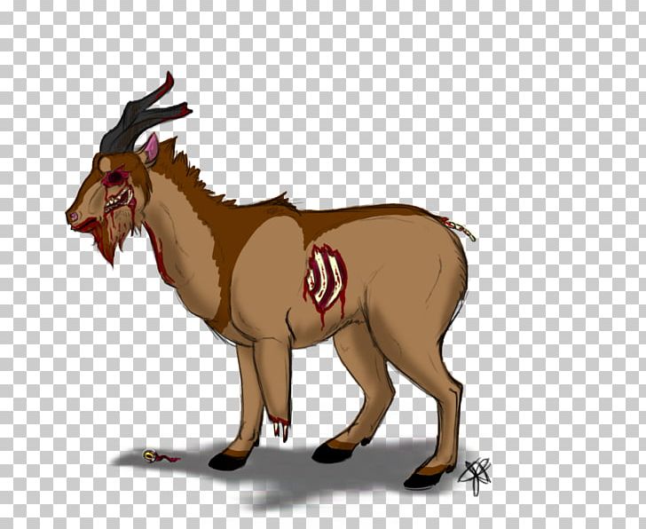 Goat Macropodidae Canidae Cattle PNG, Clipart, Animals, Canidae, Carnivoran, Cat, Cattle Free PNG Download