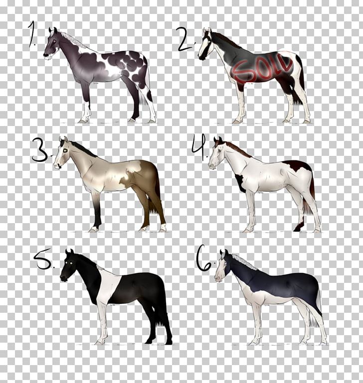 Mustang Foal Mare Stallion Halter PNG, Clipart, Animal Figure, Bridle, Colt, Donkey, Foal Free PNG Download