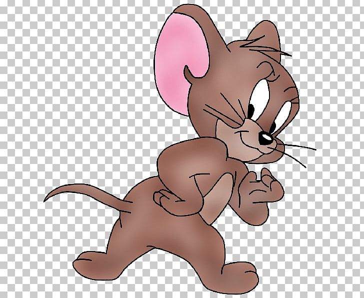 Tom Cat Jerry Mouse Cartoon Tom And Jerry Drawing PNG, Clipart, Carnivoran,  Cat, Cat Like Mammal,